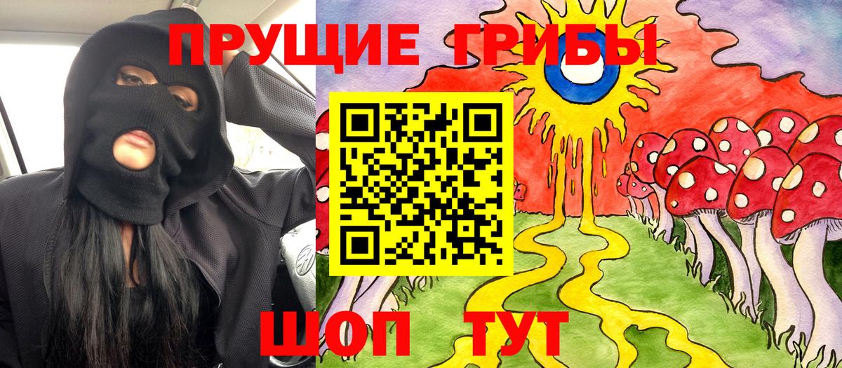 Сланцы  Псилоцибиновые грибы Magic Shrooms  Вход с VPN 