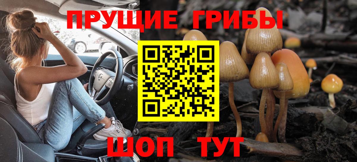 Галлюциногенные грибы ЛСД Сланцы